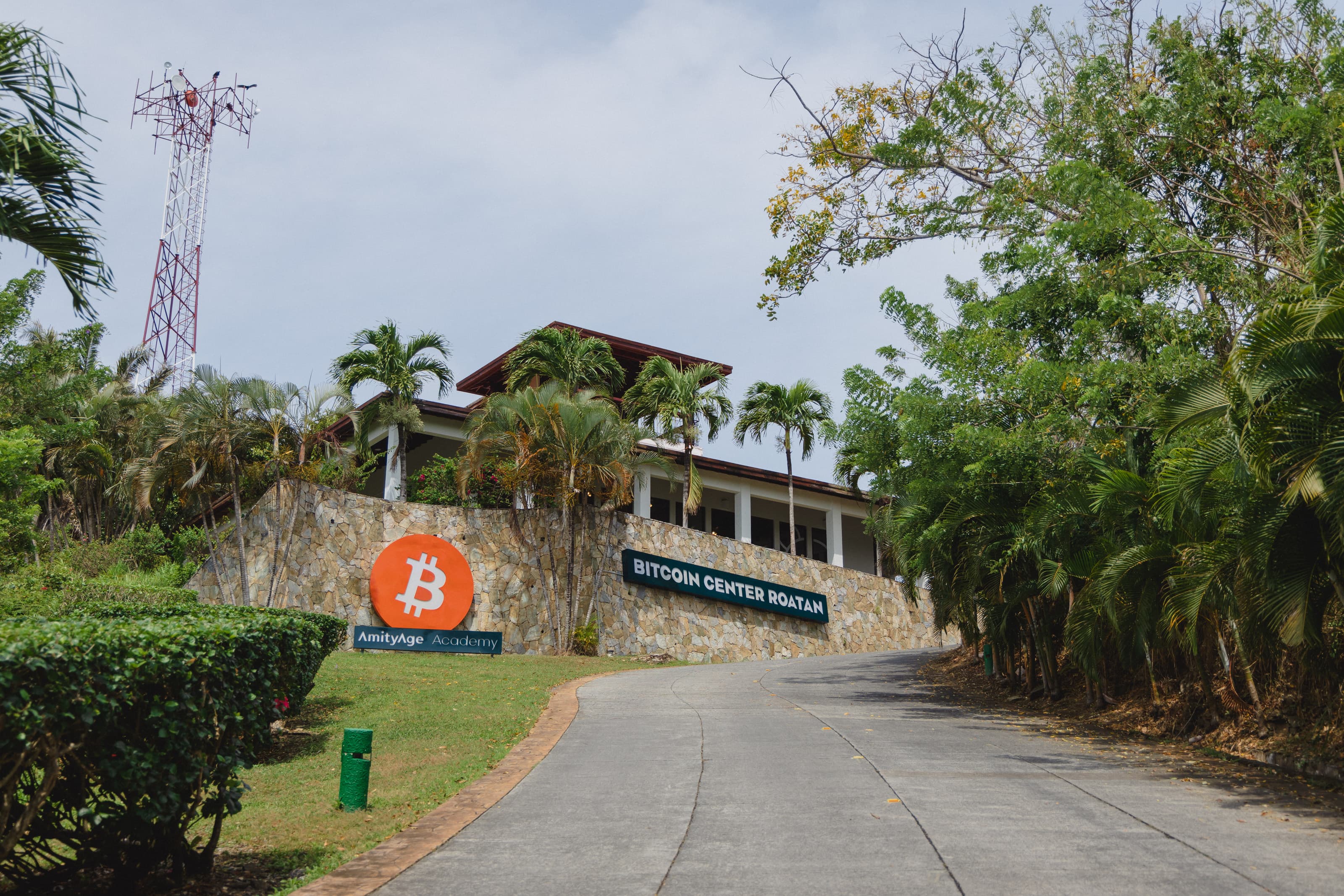 Entrada que conduce a un edificio con fachada de piedra, rotulado como Bitcoin Center Roatán y con un gran logotipo de Bitcoin. El edificio está rodeado de plantas tropicales y palmeras, lo que le da un aspecto exuberante y acogedor.