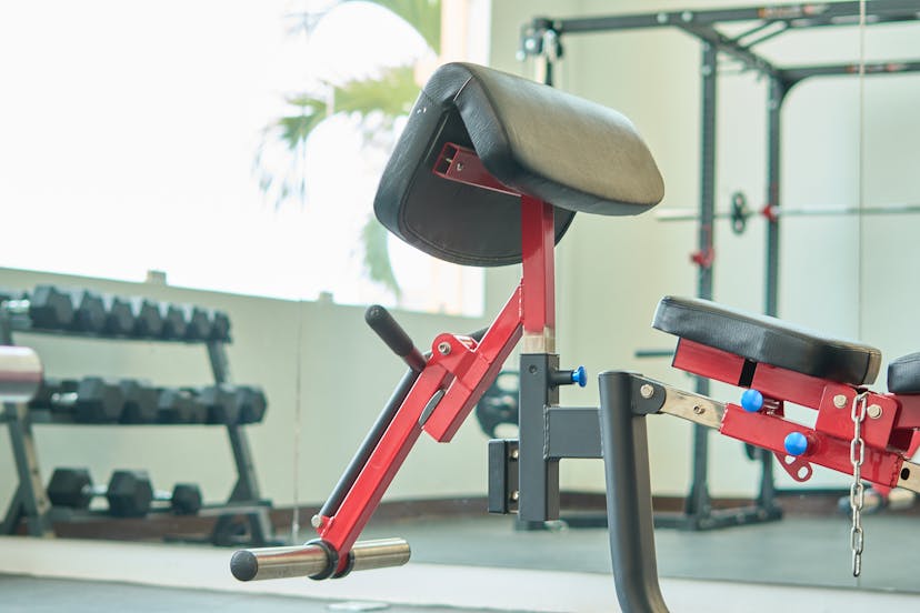 Primer plano de un banco de curl rojo y negro en un gimnasio, con una hilera de mancuernas y otros aparatos de ejercicio visibles al fondo. El gimnasio está bien iluminado, con luz natural que entra por las ventanas.