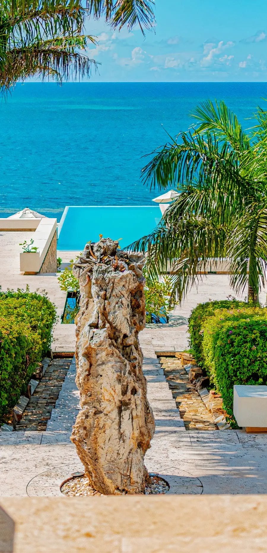 Vista panorámica de una piscina infinita que se funde con el océano azul, enmarcada por una exuberante vegetación y un alto tronco nudoso en primer plano. El entorno es tropical y sereno, con palmeras y arbustos cuidadosamente dispuestos que contribuyen a la belleza del paisaje.