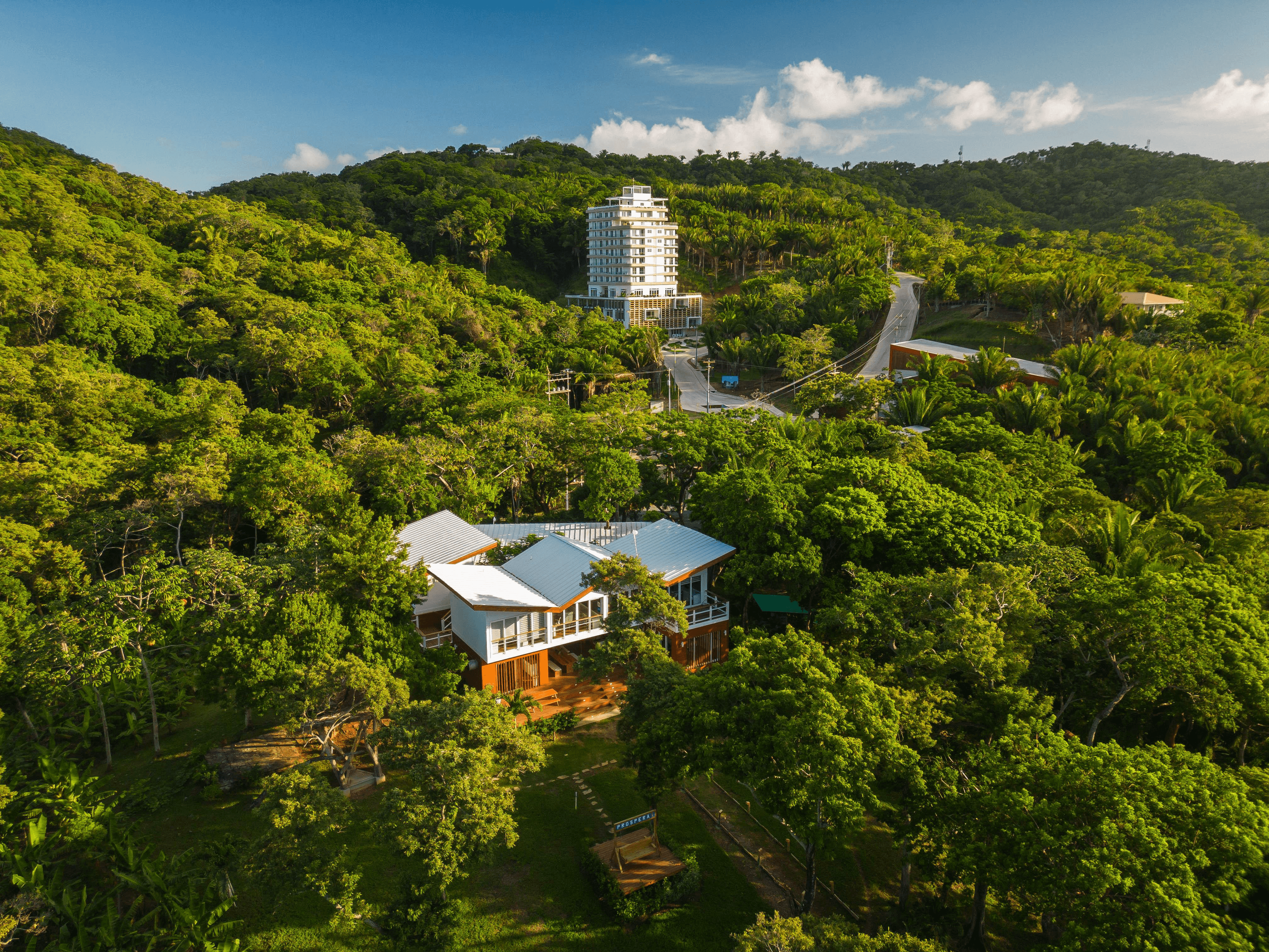 Vista panorámica de una piscina infinita que se funde con el océano azul, enmarcada por una exuberante vegetación y un alto tronco nudoso en primer plano. El entorno es tropical y sereno, con palmeras y arbustos cuidadosamente dispuestos que contribuyen a la belleza del paisaje.